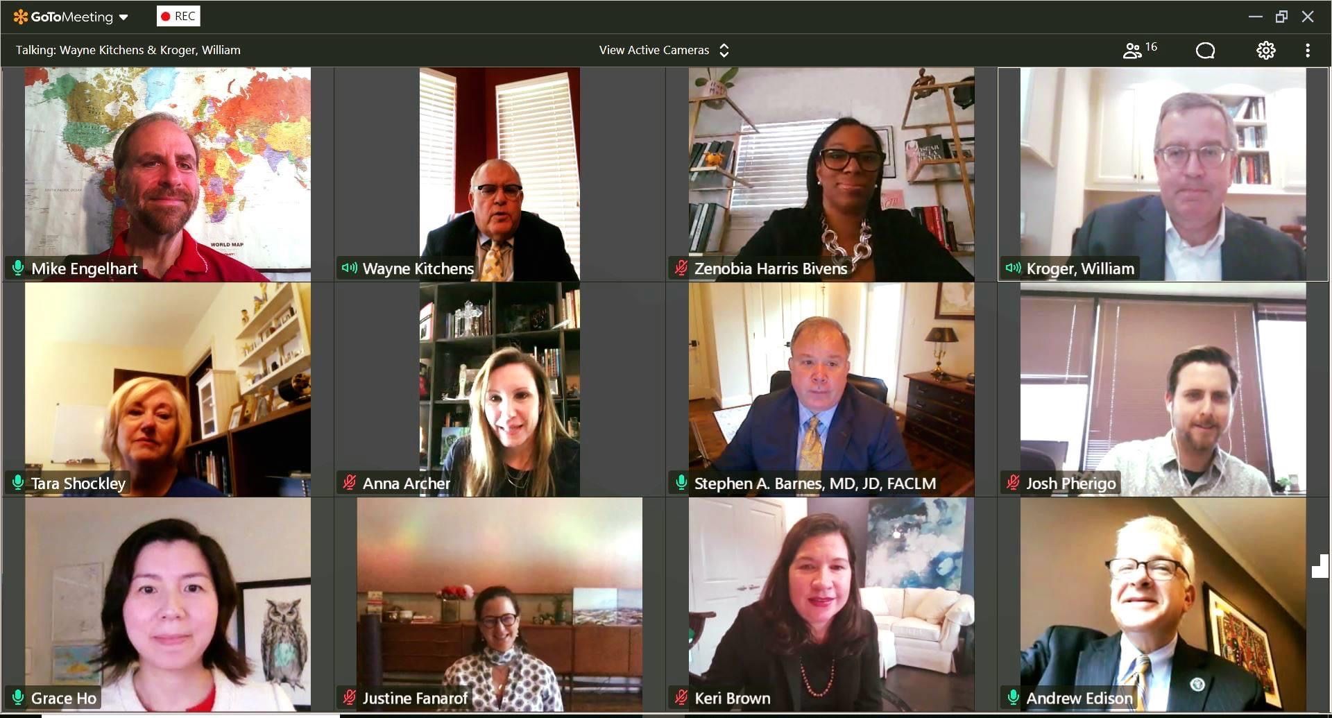 The roundtable discussion participants on GoToMeeting